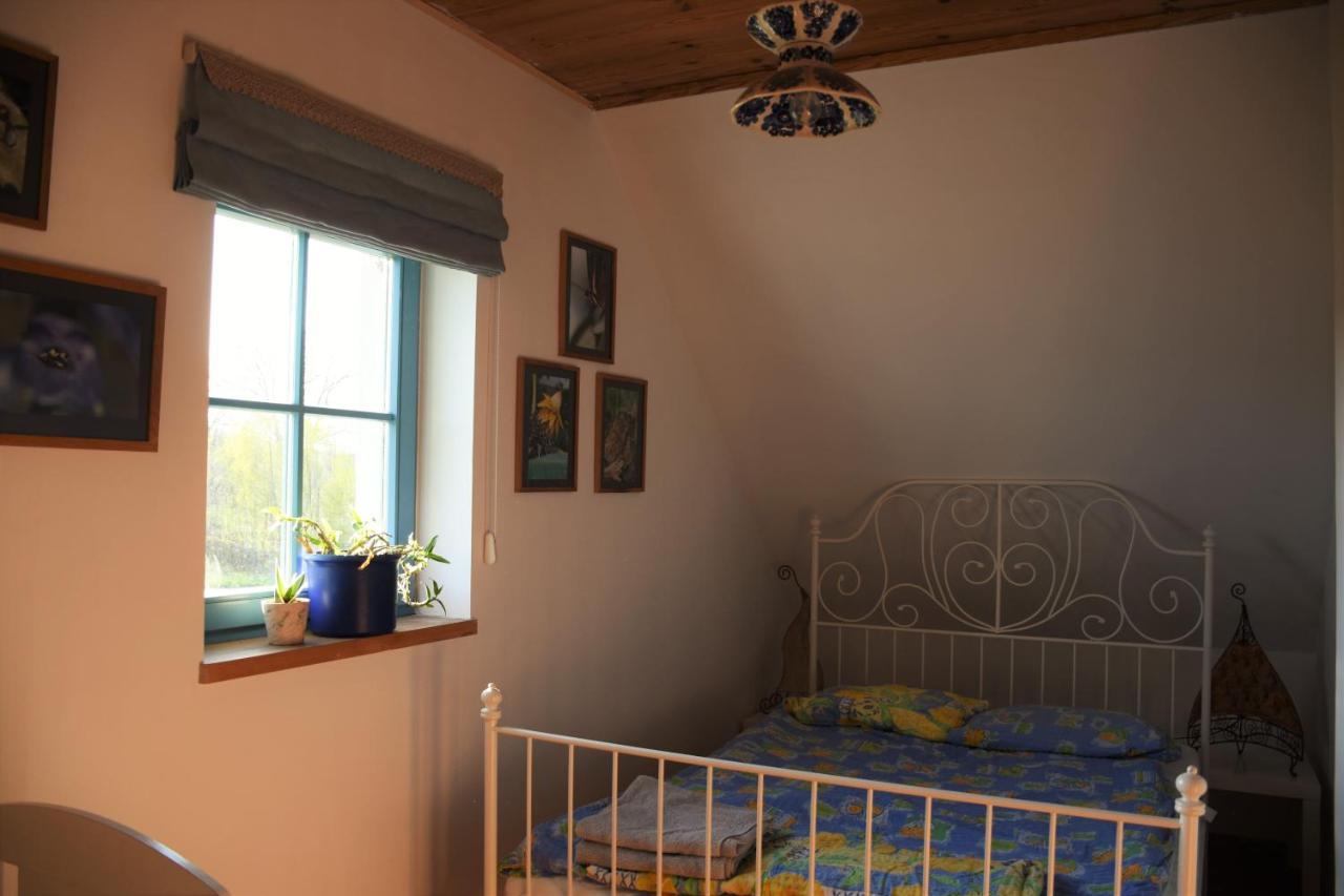 Villa Dom Na Szumiacych Drzew Debina  Esterno foto