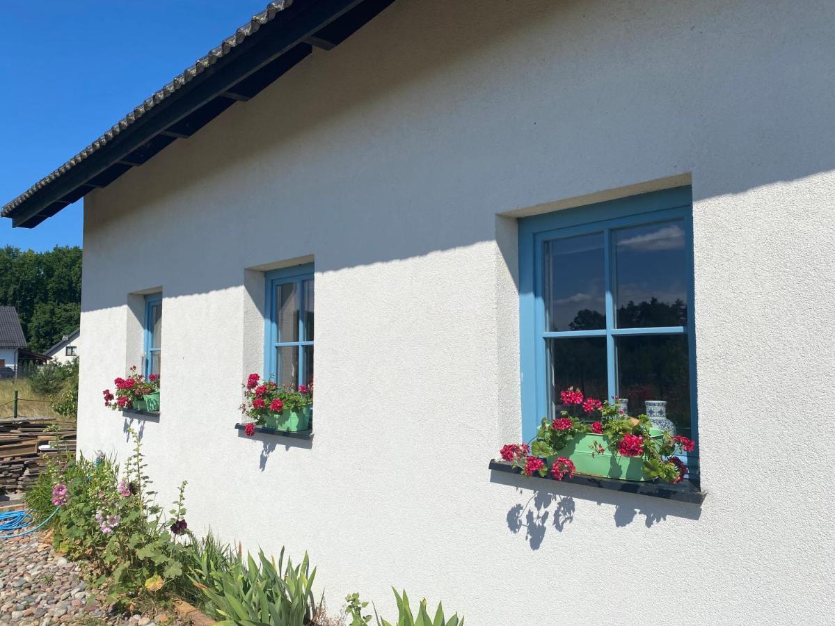 Villa Dom Na Szumiacych Drzew Debina  Esterno foto